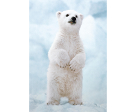 Clementoni Puzzle WWF Baby Polar Bear - 417279 - zdjęcie 2