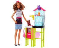 Barbie Psi Fryzjer brunetka Zestaw z pieskiem - 422699 - zdjęcie 1