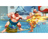 PlayStation Street Fighter V: Champion Edition - 531079 - zdjęcie 5