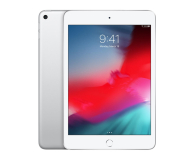 Apple iPad mini 256GB Wi-Fi Silver - 486980 - zdjęcie 1