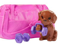 Barbie Relaks na siłowni Lalka z akcesoriami - 540548 - zdjęcie 4