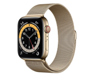 Apple Watch 6 44/Gold Steel/Gold Loop LTE - 609934 - zdjęcie 1