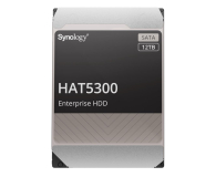 Synology HAT5300-12T 12TB Enterprise - 630305 - zdjęcie 1