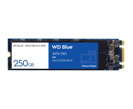 WD 250GB M.2 SATA SSD Blue - 380306 - zdjęcie 1