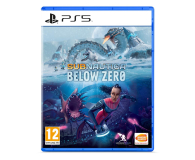 PlayStation Subnautica Below Zero - 627877 - zdjęcie 1