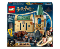 LEGO Harry Potter 76387 Hogwart™: spotkanie z Puszkiem - 1019993 - zdjęcie 1