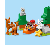 LEGO DUPLO 10907 Zwierzęta świata - 496097 - zdjęcie 5