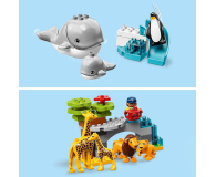 LEGO DUPLO 10907 Zwierzęta świata - 496097 - zdjęcie 8