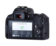 Canon EOS 250D + EF-S 18-55mm f/4-5.6 - 651694 - zdjęcie 2