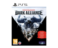 PlayStation Dungeons & Dragons Dark Alliance Steelbook Edition - 644517 - zdjęcie 1