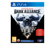 PlayStation Dungeons & Dragons Dark Alliance Steelbook Edition - 644514 - zdjęcie 1