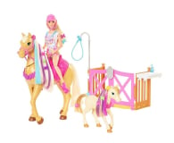 Barbie Koniki Stylizacja i opieka Zestaw Lalka + konie i akcesoria - 1023506 - zdjęcie 1