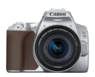 Canon EOS 250D srebrny + EF-S 18-55mm f/4-5.6 IS STM - 724288 - zdjęcie 1
