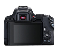 Canon EOS 250D czarny + EF-S 18-55mm f/4-5.6 IS STM - 724283 - zdjęcie 2
