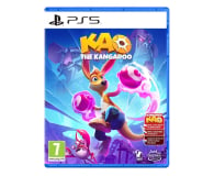 PlayStation Kangurek Kao