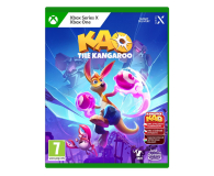 Xbox Kangurek Kao
