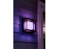 Philips Hue White and color ambiance Lampa zewnętrzna Econic - 554457 - zdjęcie 6