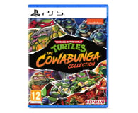 PlayStation Teenage Mutant Ninja Turtles: The Cowabunga Collection - 748252 - zdjęcie 1