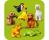 LEGO DUPLO 10973 Dzikie zwierzęta Ameryki Południowej - 1040649 - zdjęcie 7