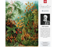 Merch Imagination: Ernst Haeckel Muscinae Puzzles 1000 - 1056324 - zdjęcie 5