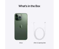 Apple iPhone 13 Pro 1TB Alpine Green - 730543 - zdjęcie 10