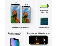 Apple iPhone 13 Mini 256GB Alpine Green - 730600 - zdjęcie 8