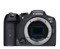 Canon EOS R7 + RF-S 18-150mm f/3.5-6.3 IS STM - 1185739 - zdjęcie 4
