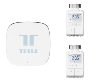Tesla Smart Zestaw podstawowy (2 głowice + centralka) - 1124488 - zdjęcie 1