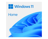 Microsoft Windows 11 Home OEM DVD PL - 689675 - zdjęcie 1
