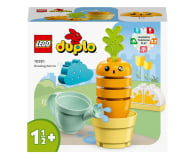 LEGO DUPLO 10981 Rosnąca marchewka - 1091288 - zdjęcie 1
