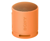 Sony SRS-XB100 Pomarańczowy - 1169972 - zdjęcie 1