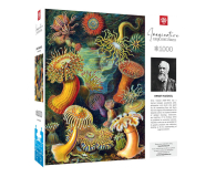 Merch Imagination: Ernst Haeckel: Sea Anemones/Stworzenia morskie - 1178565 - zdjęcie 1