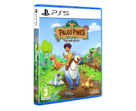 PlayStation Paleo Pines - 1170186 - zdjęcie 2