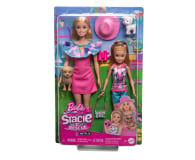 Barbie Stacie i Barbie 2-pak lalek - 1212794 - zdjęcie 6