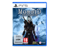 PlayStation Morbid: The Lords of Ire - 1220246 - zdjęcie 1