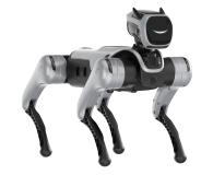 Magiclab Magicdog Pro - 1456268 - zdjęcie 2