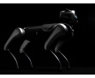 Magiclab Magicdog Edu - 1470907 - zdjęcie 14