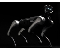 Magiclab Magicdog Pro - 1456268 - zdjęcie 12