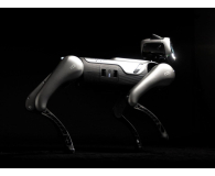 Magiclab Magicdog Pro - 1456268 - zdjęcie 13