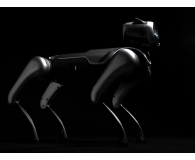 Magiclab Magicdog Pro - 1456268 - zdjęcie 14