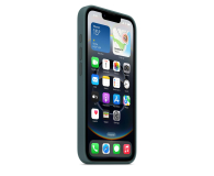 Apple Silikonowe etui iPhone 16e górskie jezioro - 1319594 - zdjęcie 2