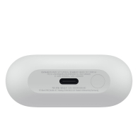 Samsung Galaxy Buds3 FE Grey - 1355573 - zdjęcie 8