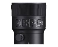 Sigma S 500mm f/5.6 DG DN OS Sony E - 1360995 - zdjęcie 5