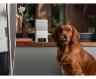 Petcube Inteligentna kamera z podajnikiem Bites 2 Lite - 1308537 - zdjęcie 4