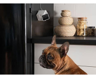 Petcube Inteligentna kamera Cam - 1308534 - zdjęcie 6