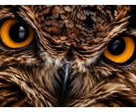 Acer Vero V27F - 1527836 - zdjęcie 13