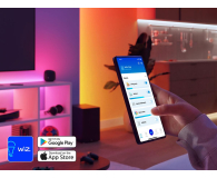 Philips Smart taśma LED RGBICWW 10 m - 1541397 - zdjęcie 4