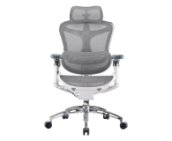 Sihoo DORO C300 PRO Mesh biały - 1542253 - zdjęcie 1