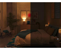 Philips Inteligentna Żarówka LED E27 RGB A60 60W 806lm 2200-6500K - 1544364 - zdjęcie 5