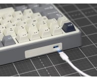 Royal Kludge R87Pro Half Grey Creamy switch - 1455797 - zdjęcie 7